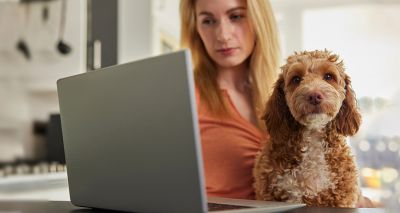 VMD launches digital adverse event reporting service
